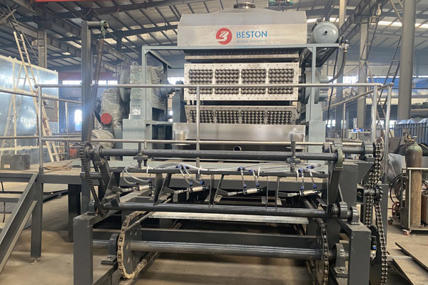 Beston Egg Tray Manufacturing Machine 