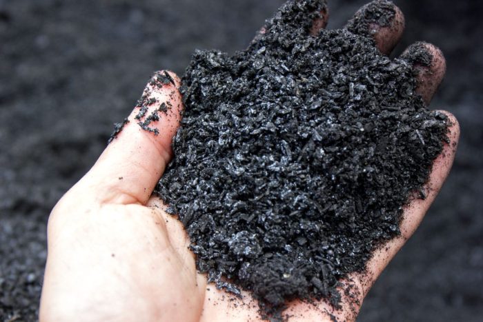 biochar